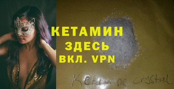 индика Новозыбков