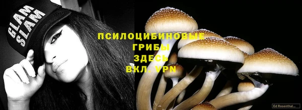 скорость Новокубанск