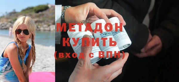 индика Новозыбков