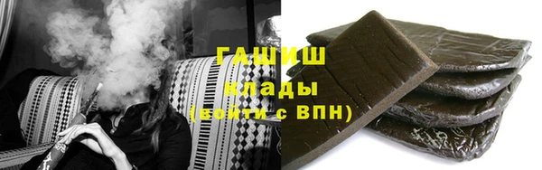 индика Новозыбков