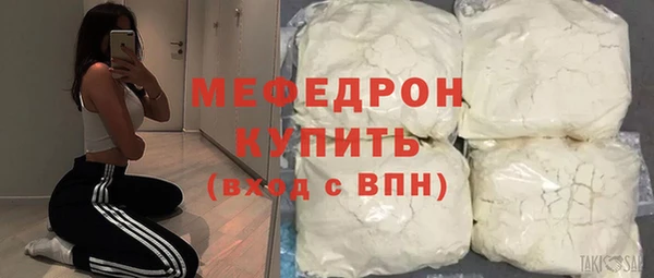 индика Новозыбков