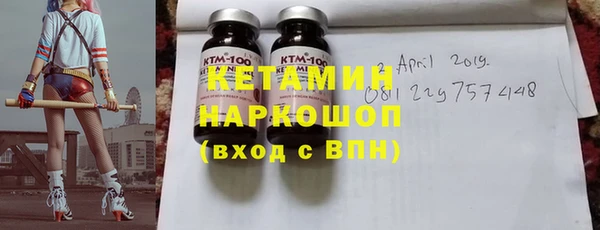 индика Новозыбков