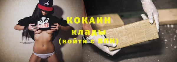индика Новозыбков