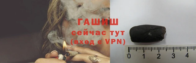 индика Новозыбков
