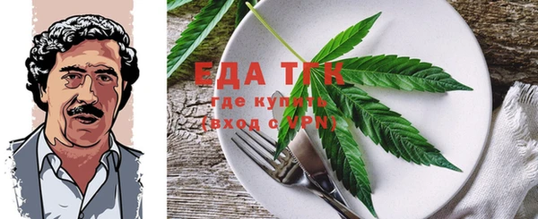 индика Новозыбков