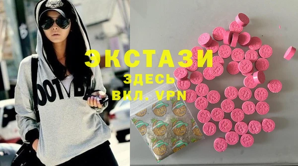 индика Новозыбков