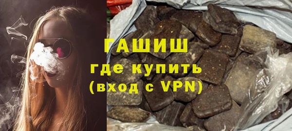 индика Новозыбков