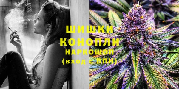 индика Новозыбков