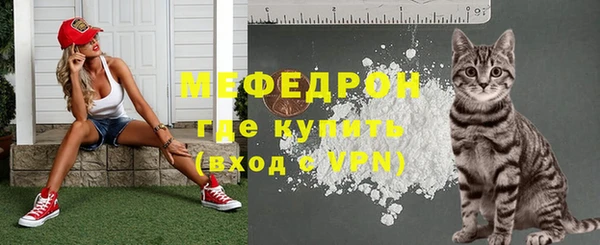 индика Новозыбков