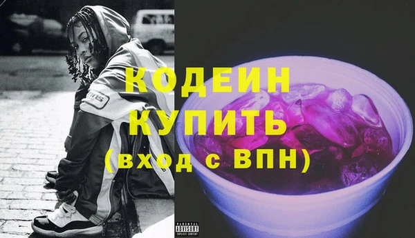 индика Новозыбков