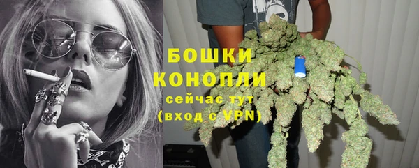 каннабис Новодвинск