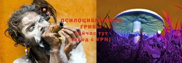mdpv Хадыженск