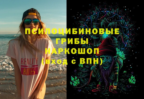 индика Новозыбков
