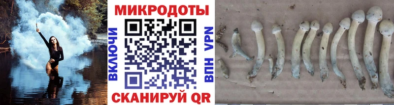 Галлюциногенные грибы прущие грибы  Нальчик 