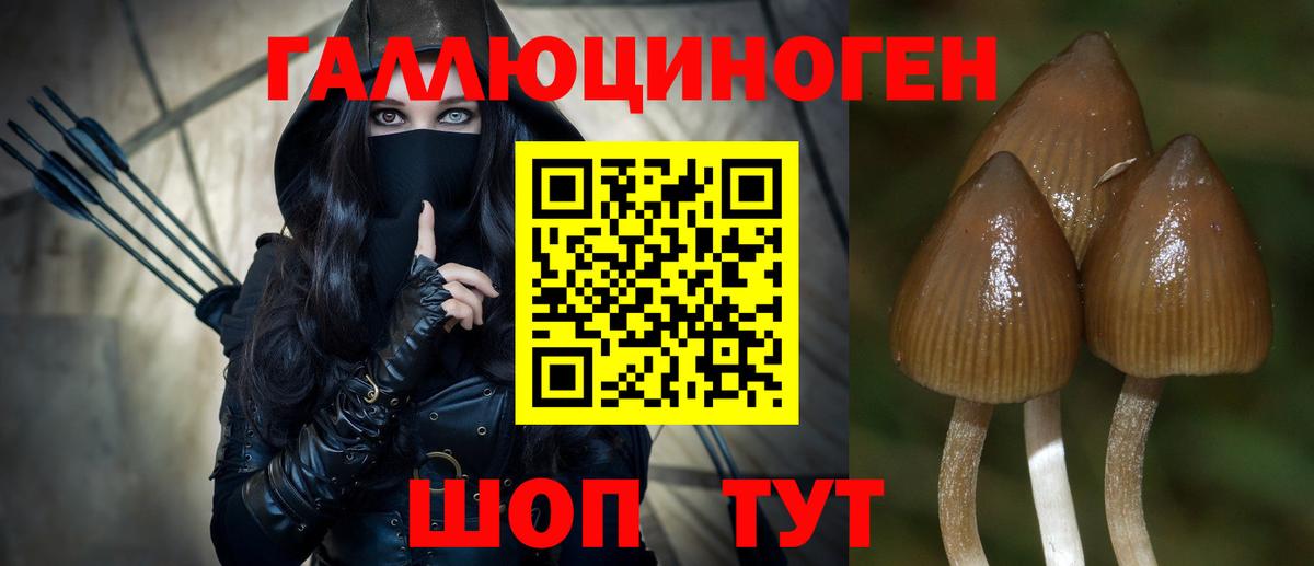 Псилоцибиновые грибы ЛСД  Вход с VPN  купить  сайты  Нальчик 